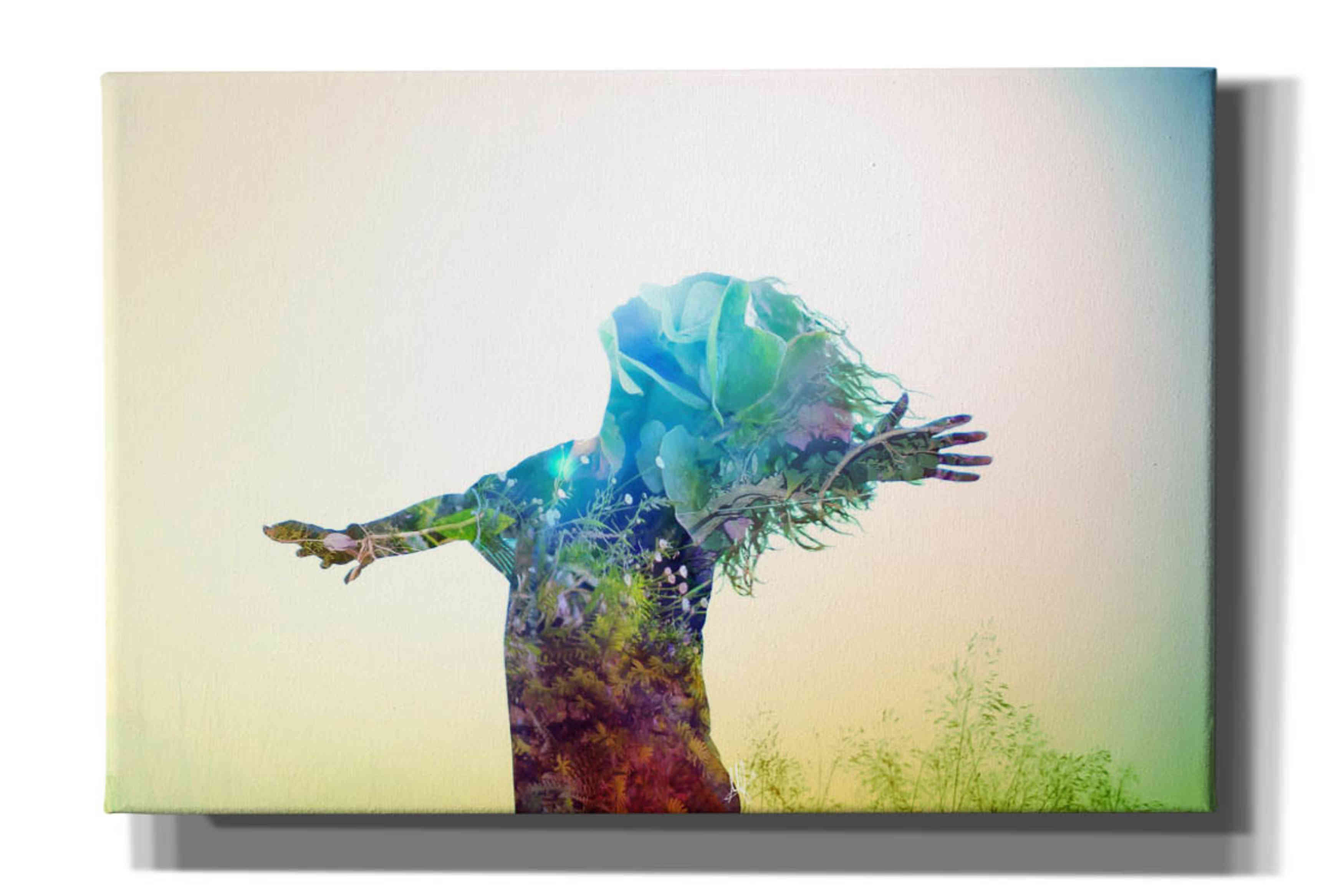 'Release' by Mario Sanchez Nevado, Canvas Wall Art,Size A Landscape