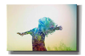 'Release' by Mario Sanchez Nevado, Canvas Wall Art,Size A Landscape