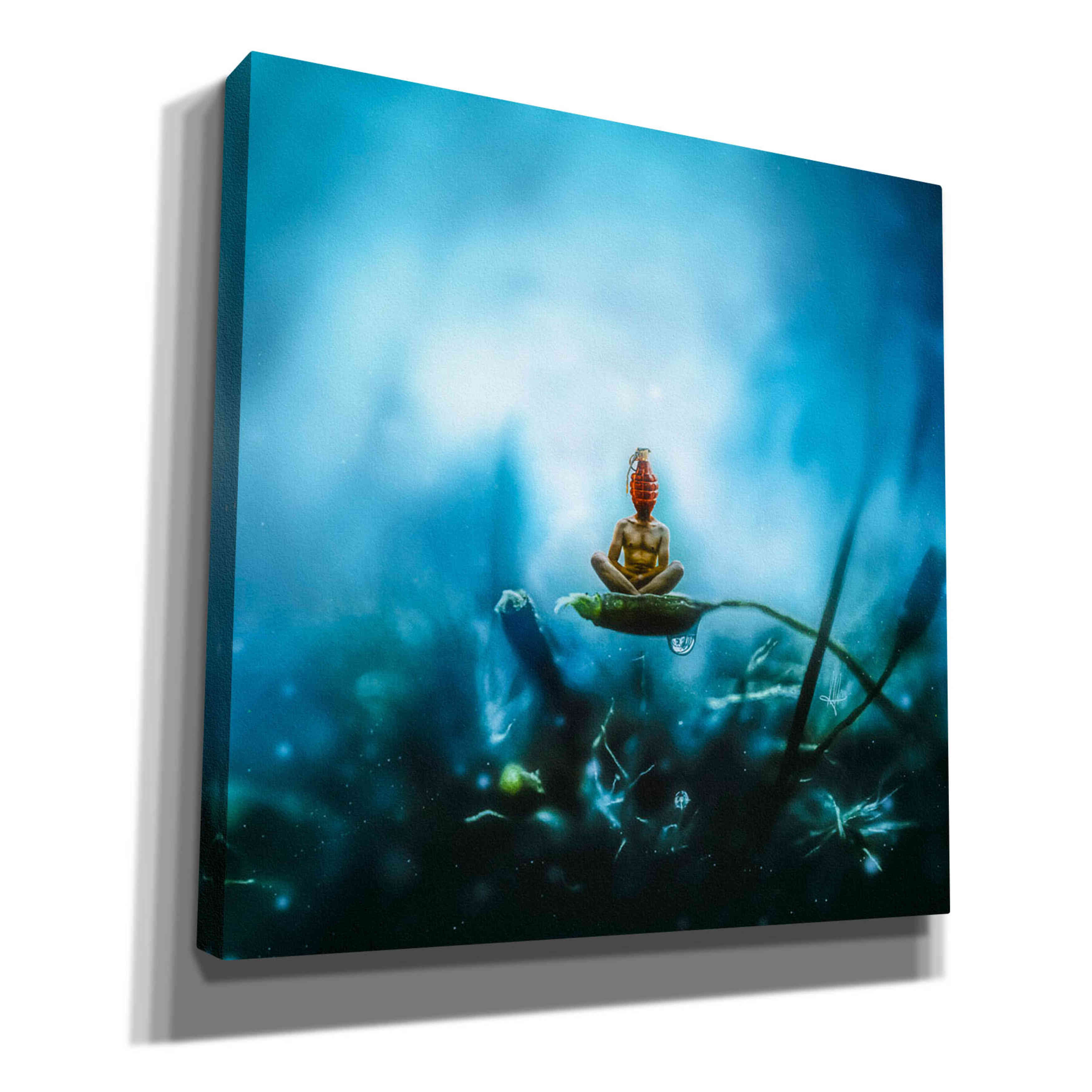 'Temporary Peace' by Mario Sanchez Nevado, Canvas Wall Art,Size 1 Square