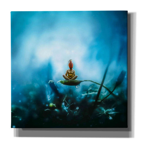 Image of 'Temporary Peace' by Mario Sanchez Nevado, Canvas Wall Art,Size 1 Square
