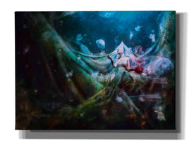 'Unravel' by Mario Sanchez Nevado, Canvas Wall Art,Size A Portrait