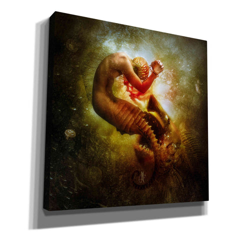 Image of 'Wanderer' by Mario Sanchez Nevado, Canvas Wall Art,Size 1 Square