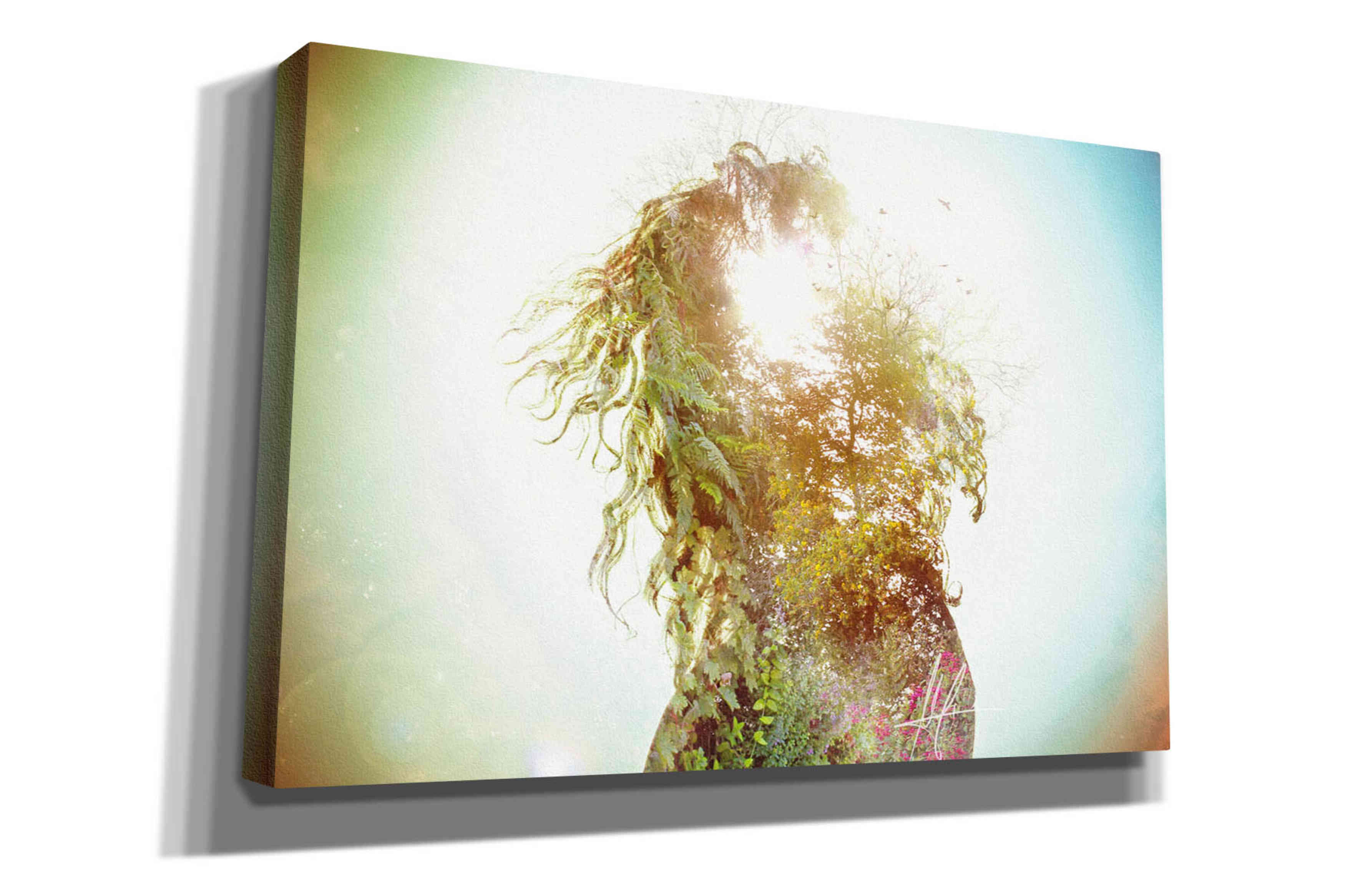 'Wisdom' by Mario Sanchez Nevado, Canvas Wall Art,Size A Landscape