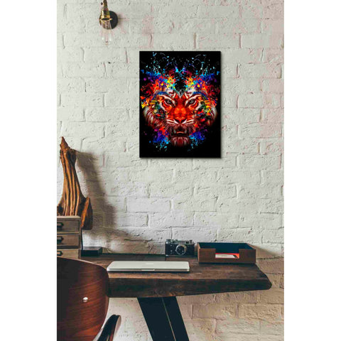 Image of 'Dubtiger' Canvas Wall Art,12x16