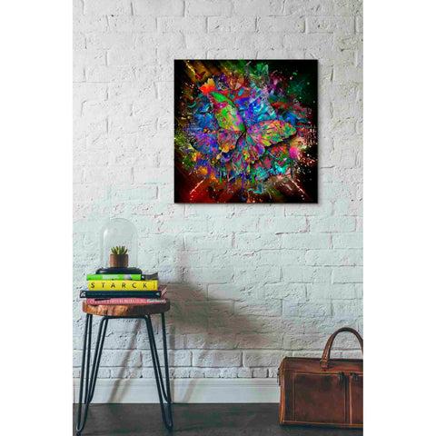 Image of 'Monarch' Canvas Wall Art,26x26