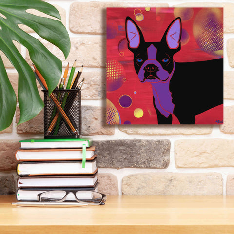 Image of 'Bubbly Boston' by Angela Bond Giclee Canvas Wall Art,12x12