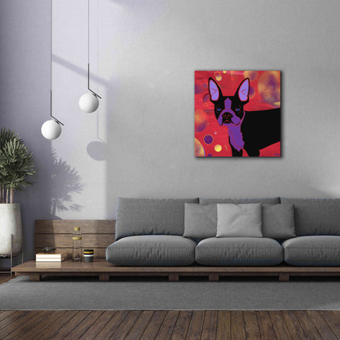 Image of 'Bubbly Boston' by Angela Bond Giclee Canvas Wall Art,37x37