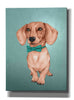 'The Wiener Dog' by Barruf Giclee Canvas Wall Art