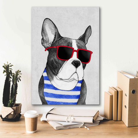 Image of 'Frenchie Summer Style' by Barruf Giclee Canvas Wall Art,18x26