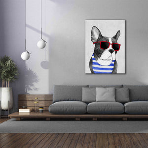 'Frenchie Summer Style' by Barruf Giclee Canvas Wall Art,40x54