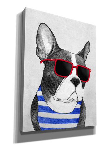 Image of 'Frenchie Summer Style' by Barruf Giclee Canvas Wall Art