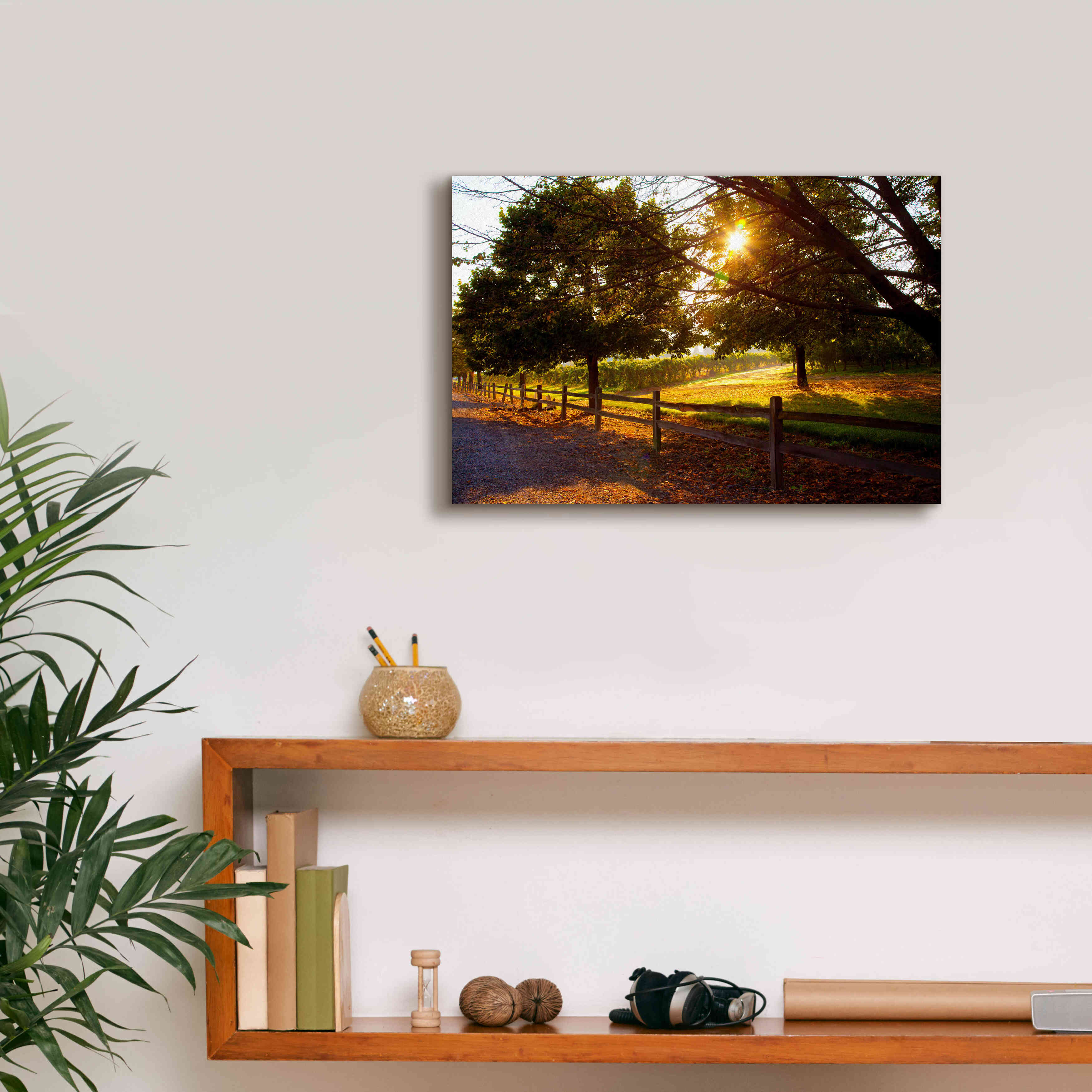 'Dreamland Vineyard' by Michael Broom Giclee Canvas Wall Art,18x12