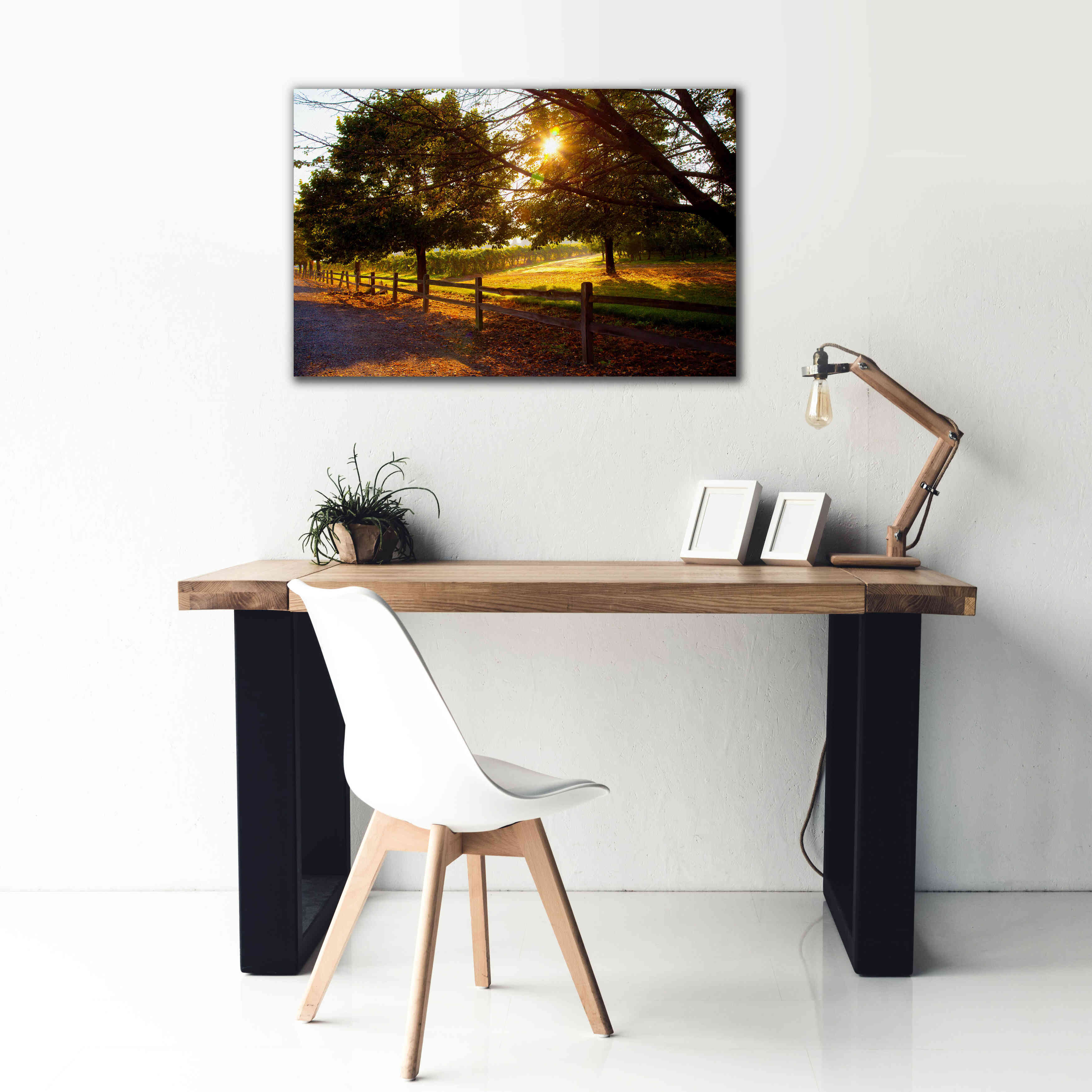 'Dreamland Vineyard' by Michael Broom Giclee Canvas Wall Art,40x26
