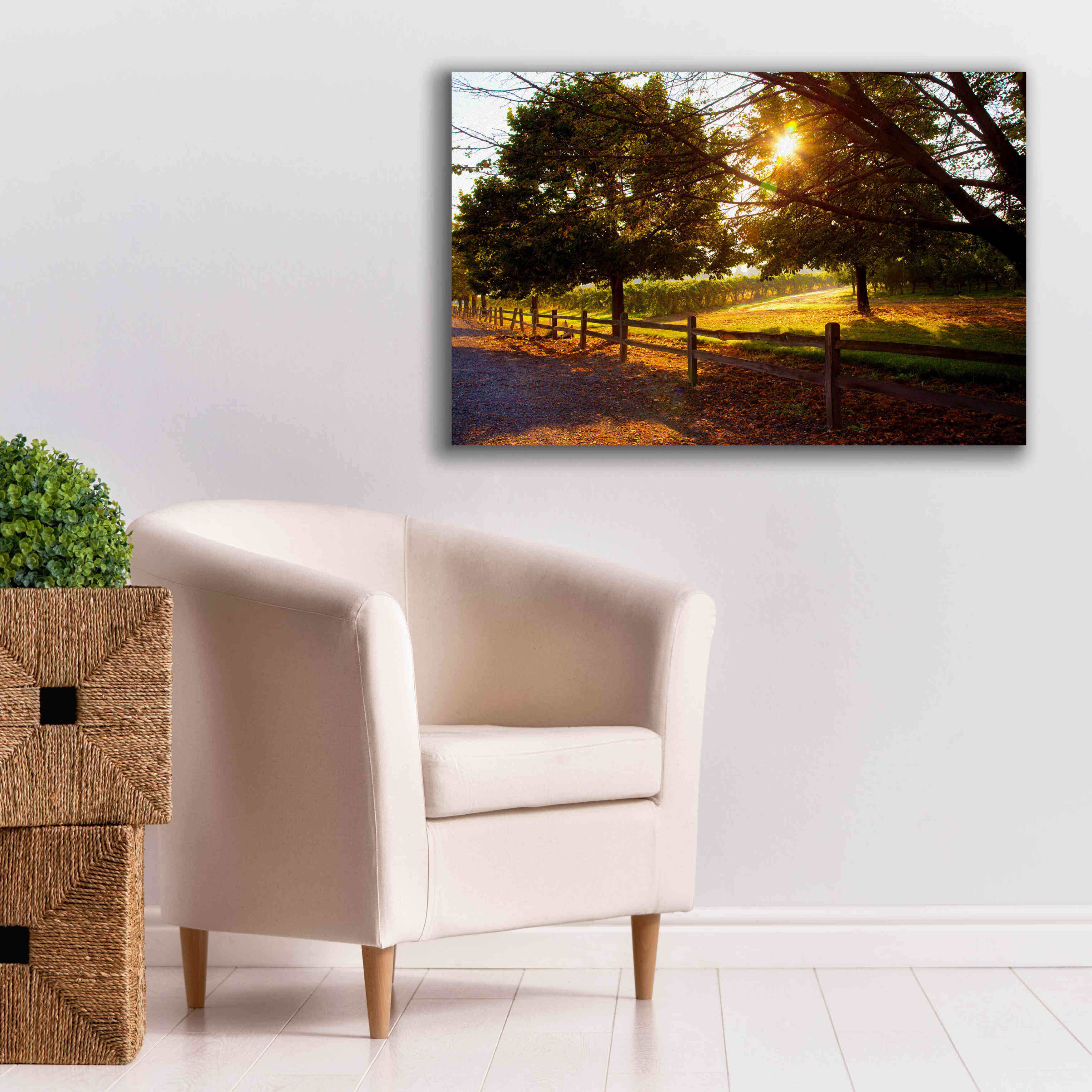'Dreamland Vineyard' by Michael Broom Giclee Canvas Wall Art,40x26