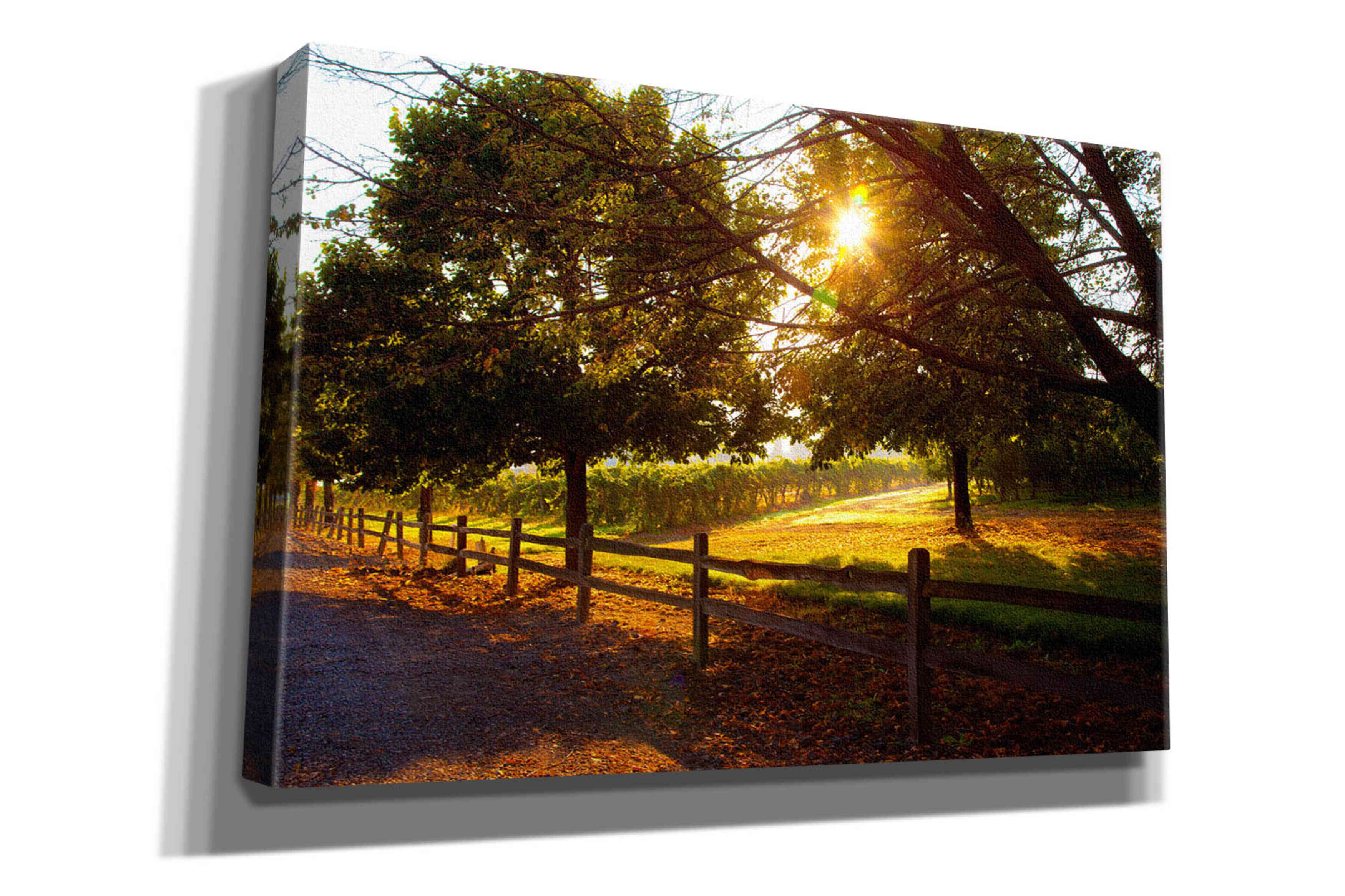 'Dreamland Vineyard' by Michael Broom Giclee Canvas Wall Art