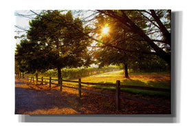 'Dreamland Vineyard' by Michael Broom Giclee Canvas Wall Art