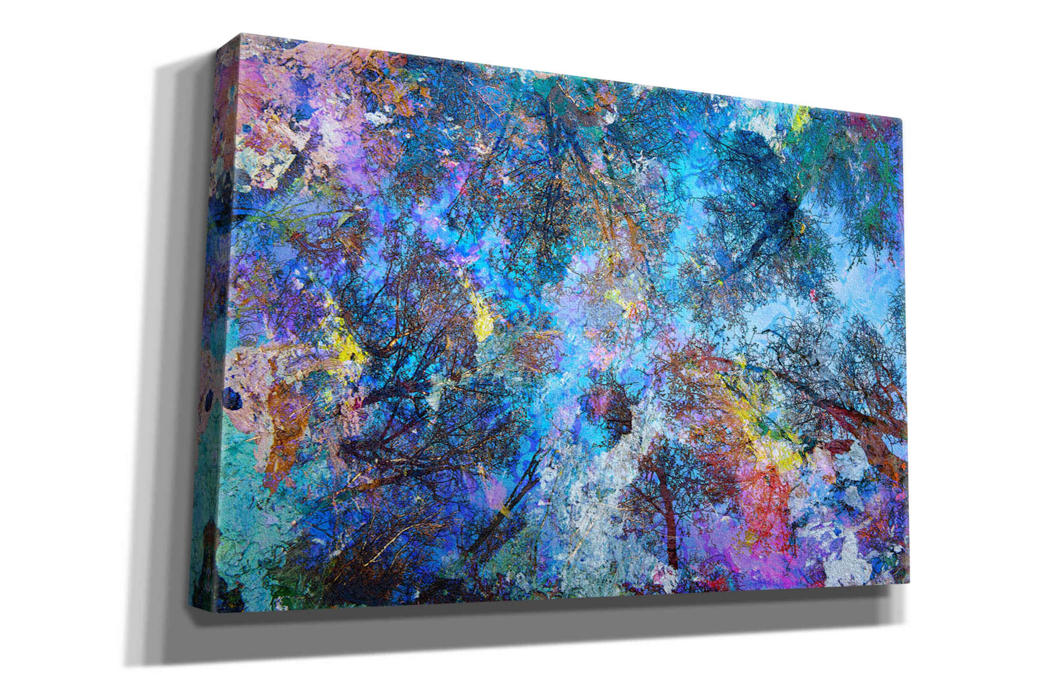 'Dreaming up to the Trees' by Michael Broom Giclee Canvas Wall Art