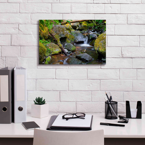 Image of 'Mossy Stream' by Michael Broom Giclee Canvas Wall Art,18x12
