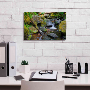 'Mossy Stream' by Michael Broom Giclee Canvas Wall Art,18x12