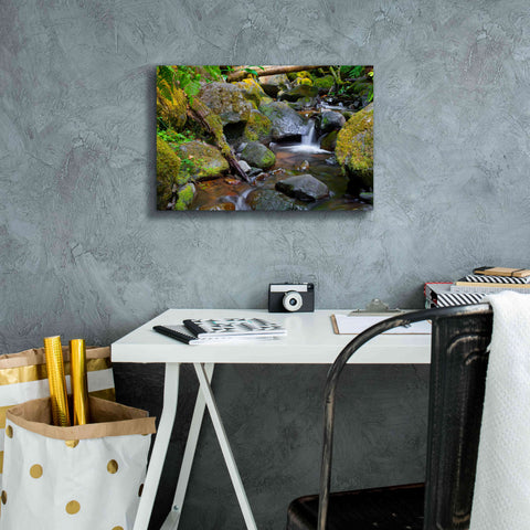 Image of 'Mossy Stream' by Michael Broom Giclee Canvas Wall Art,18x12