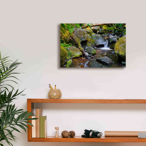 Image of 'Mossy Stream' by Michael Broom Giclee Canvas Wall Art,18x12