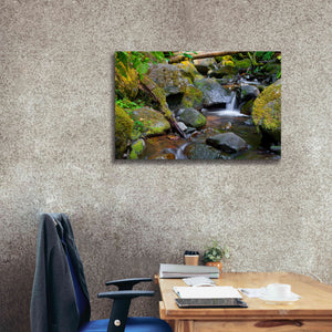 'Mossy Stream' by Michael Broom Giclee Canvas Wall Art,40x26