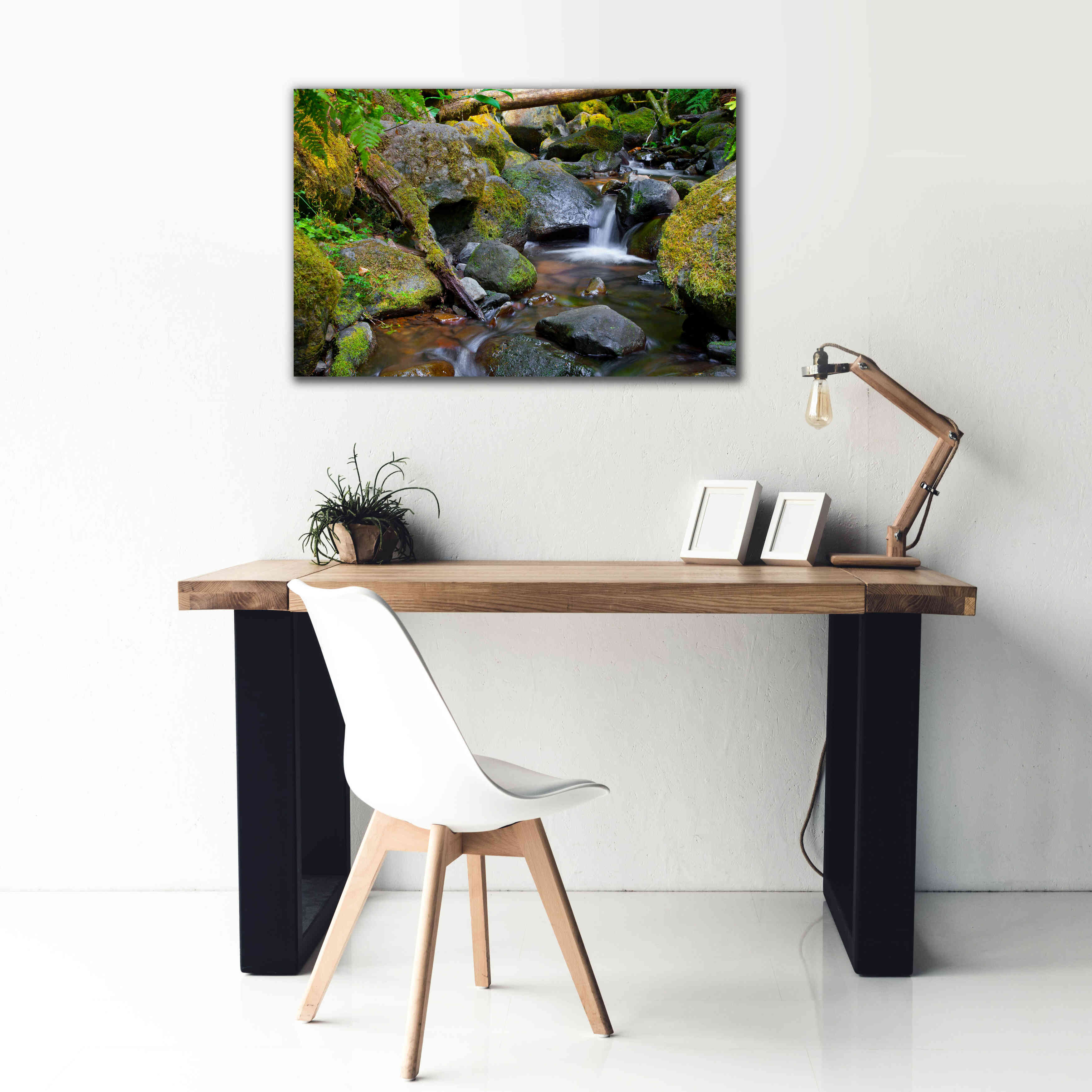 'Mossy Stream' by Michael Broom Giclee Canvas Wall Art,40x26