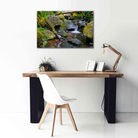 Image of 'Mossy Stream' by Michael Broom Giclee Canvas Wall Art,40x26