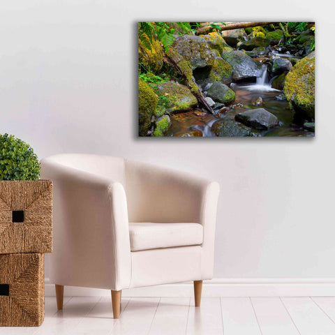 Image of 'Mossy Stream' by Michael Broom Giclee Canvas Wall Art,40x26
