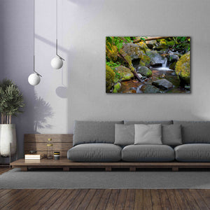 'Mossy Stream' by Michael Broom Giclee Canvas Wall Art,60x40