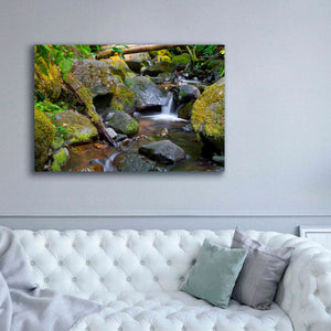 'Mossy Stream' by Michael Broom Giclee Canvas Wall Art,60x40