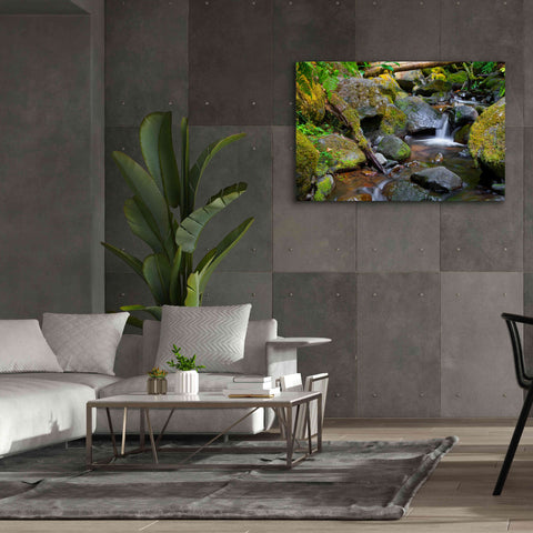 Image of 'Mossy Stream' by Michael Broom Giclee Canvas Wall Art,60x40