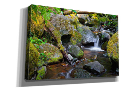 Image of 'Mossy Stream' by Michael Broom Giclee Canvas Wall Art