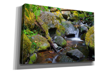 'Mossy Stream' by Michael Broom Giclee Canvas Wall Art