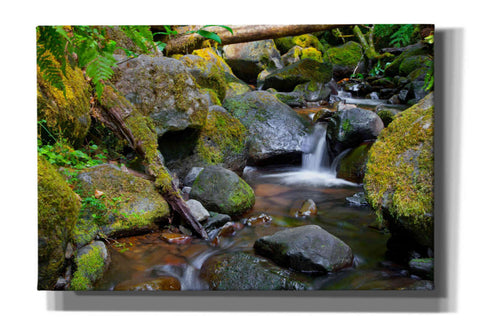 Image of 'Mossy Stream' by Michael Broom Giclee Canvas Wall Art