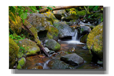 'Mossy Stream' by Michael Broom Giclee Canvas Wall Art