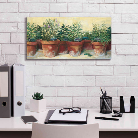 Image of 'Potted Herbs I' by Carol Rowan, Giclee Canvas Wall Art,24x12