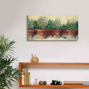 'Potted Herbs I' by Carol Rowan, Giclee Canvas Wall Art,24x12