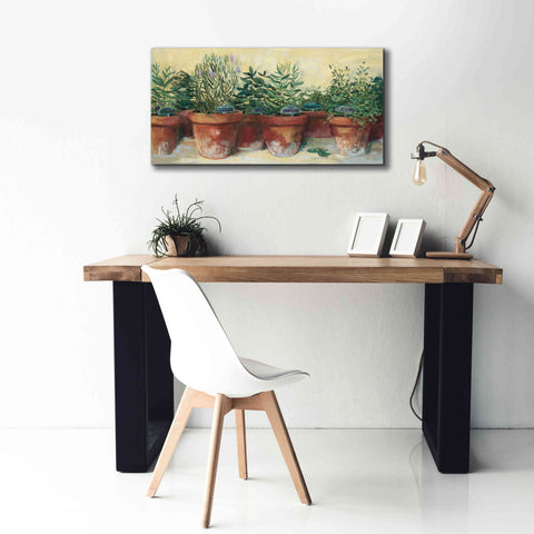 Image of 'Potted Herbs I' by Carol Rowan, Giclee Canvas Wall Art,40x20