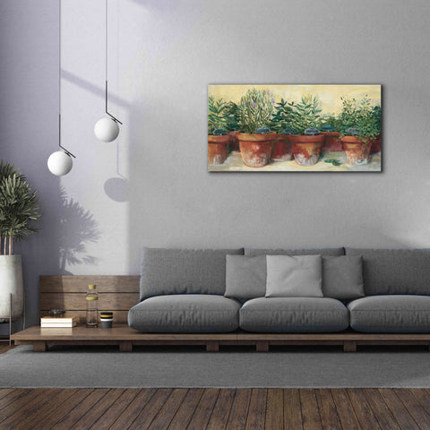 Image of 'Potted Herbs I' by Carol Rowan, Giclee Canvas Wall Art,60x30