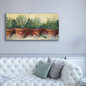 'Potted Herbs I' by Carol Rowan, Giclee Canvas Wall Art,60x30