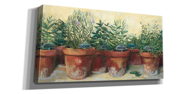 'Potted Herbs I' by Carol Rowan, Giclee Canvas Wall Art