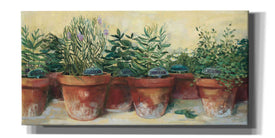 'Potted Herbs I' by Carol Rowan, Giclee Canvas Wall Art