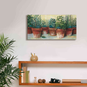'Potted Herbs II' by Carol Rowan, Giclee Canvas Wall Art,24x12