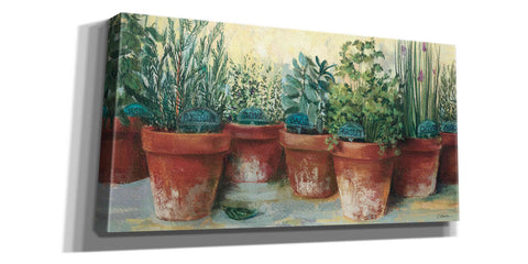 Image of 'Potted Herbs II' by Carol Rowan, Giclee Canvas Wall Art