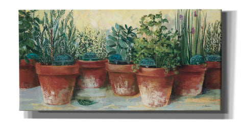 Image of 'Potted Herbs II' by Carol Rowan, Giclee Canvas Wall Art
