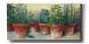 'Potted Herbs II' by Carol Rowan, Giclee Canvas Wall Art