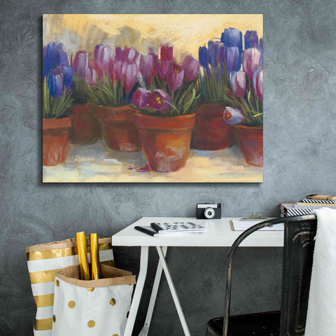 Image of 'Spring Crocus' by Carol Rowan, Giclee Canvas Wall Art,34x26
