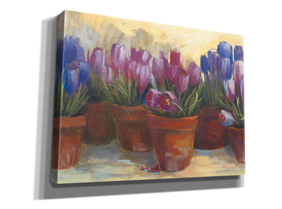 'Spring Crocus' by Carol Rowan, Giclee Canvas Wall Art