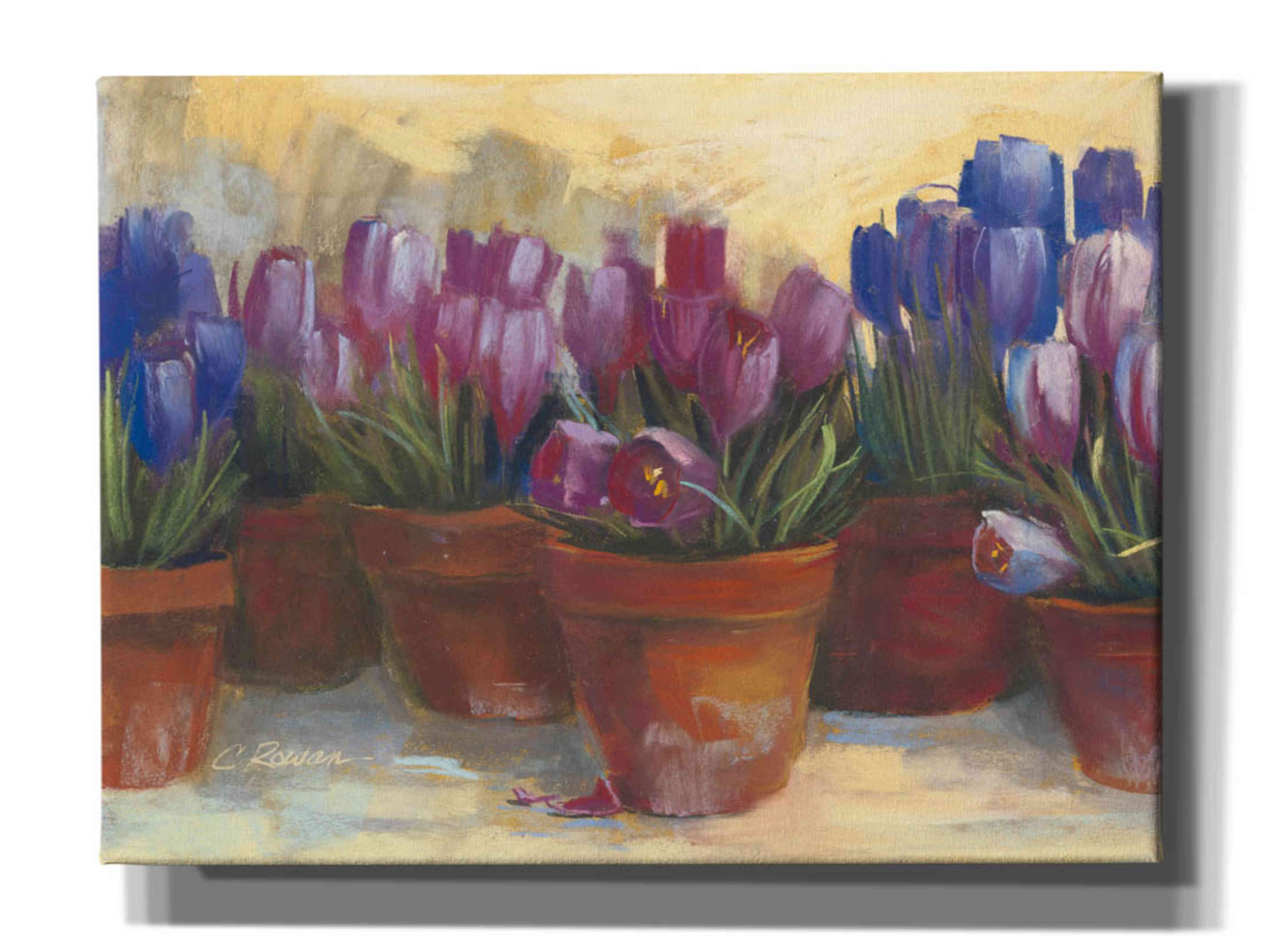 'Spring Crocus' by Carol Rowan, Giclee Canvas Wall Art